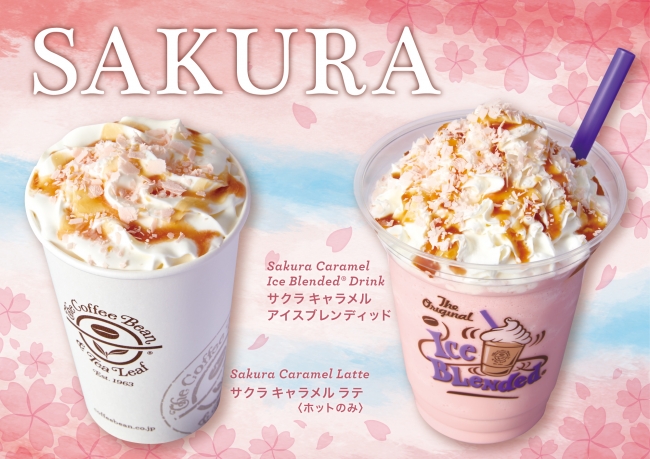 cherry-blossoms-caramel-latte01